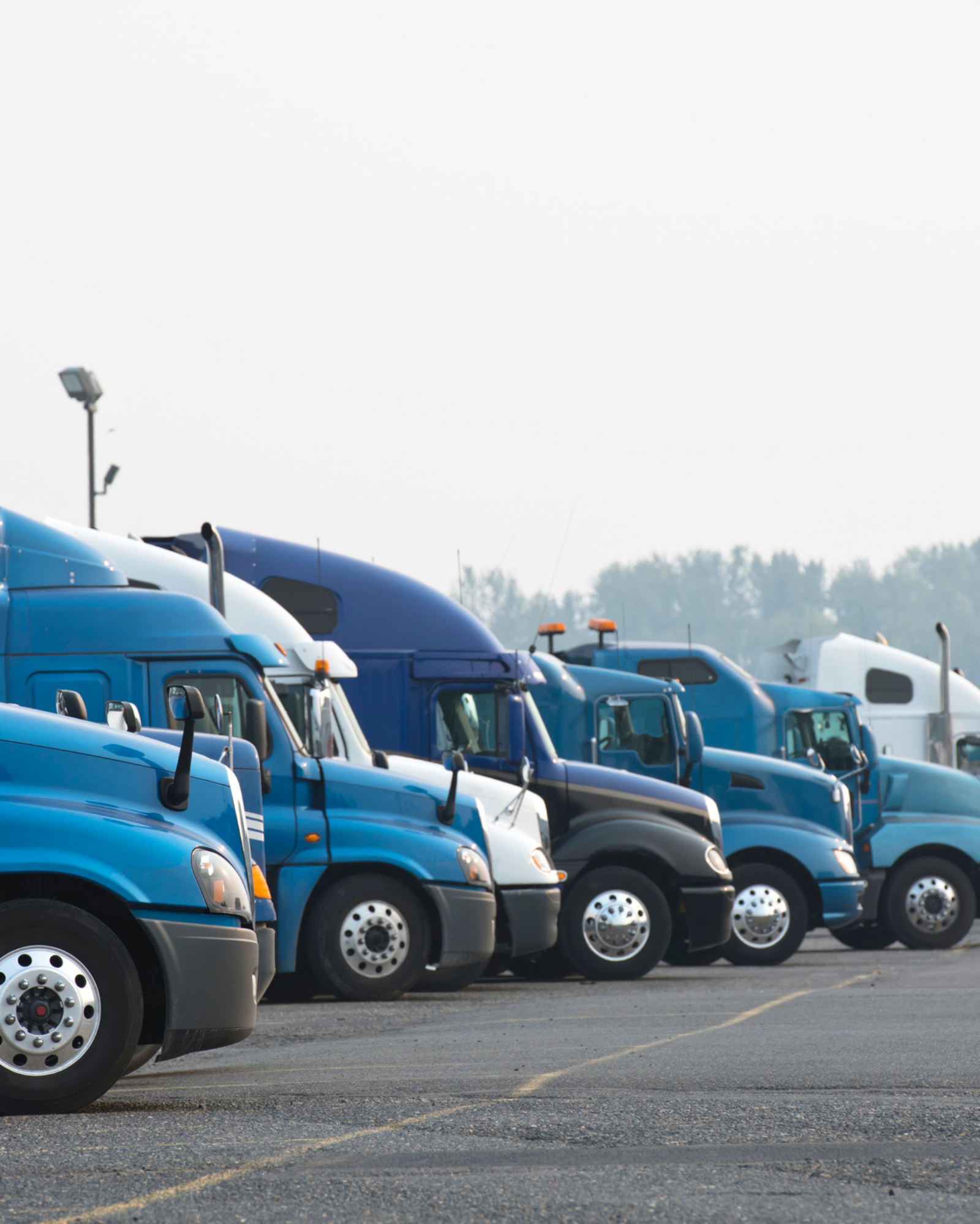 Fleet of Trucks