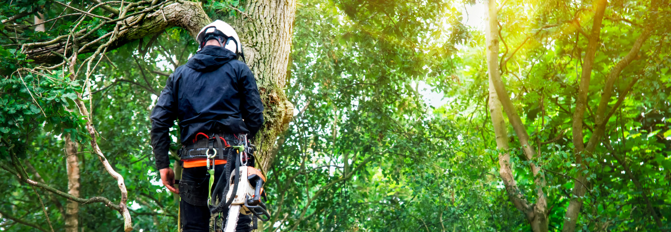 [CASE STUDY] Stanley Tree Service Cuts Hiring Time in Half with Foley Dash